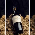 CM Wines appointed exclusive distributor for Château de Mercuès, France