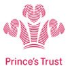 Princes Trust Charity Partnership 
