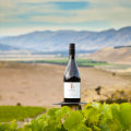 Tarras-Wine-Vineyard-Landscape